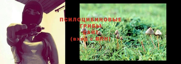 крисы Каменка