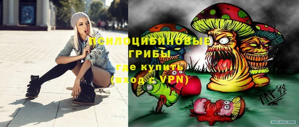 a pvp Алзамай