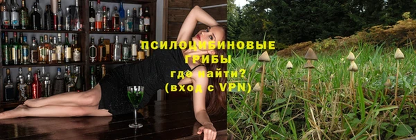 a pvp Алзамай