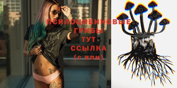 a pvp Алзамай